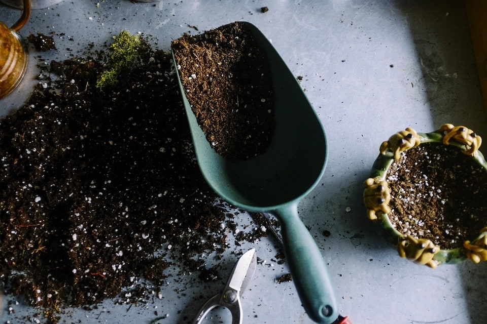 Les techniques de jardinage qui répondent au changement climatique
