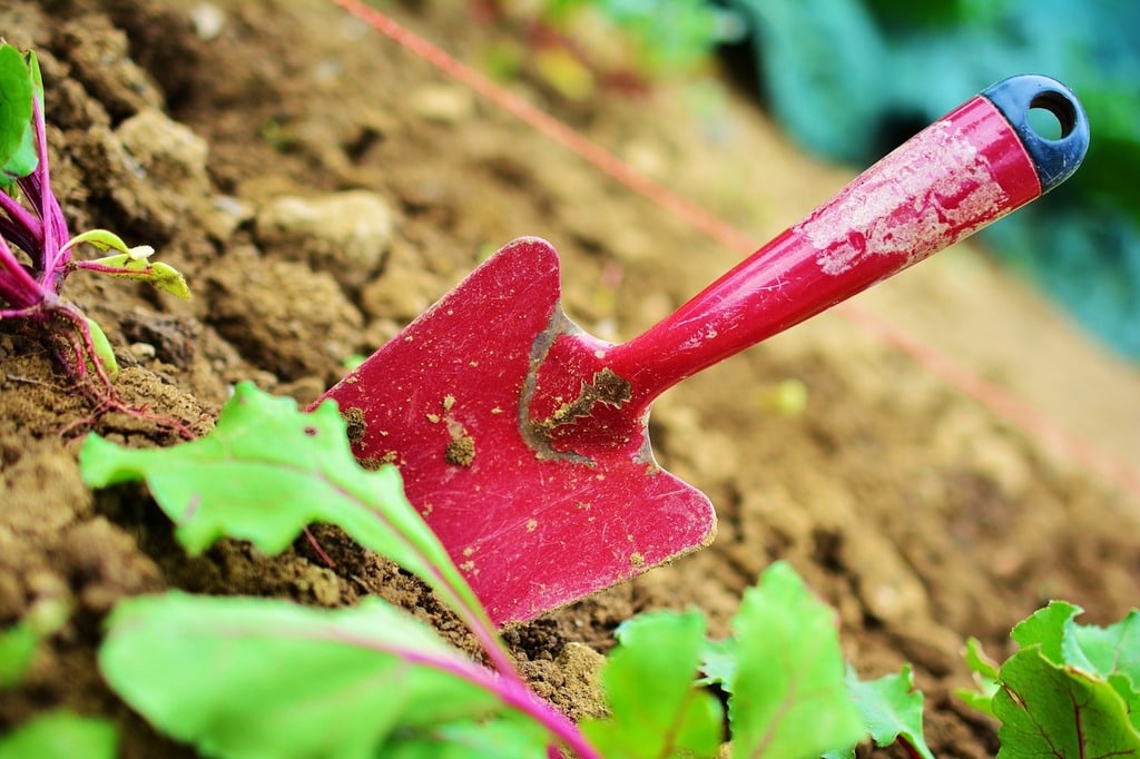 Lire la suite à propos de l’article Les techniques de jardinage qui répondent au changement climatique